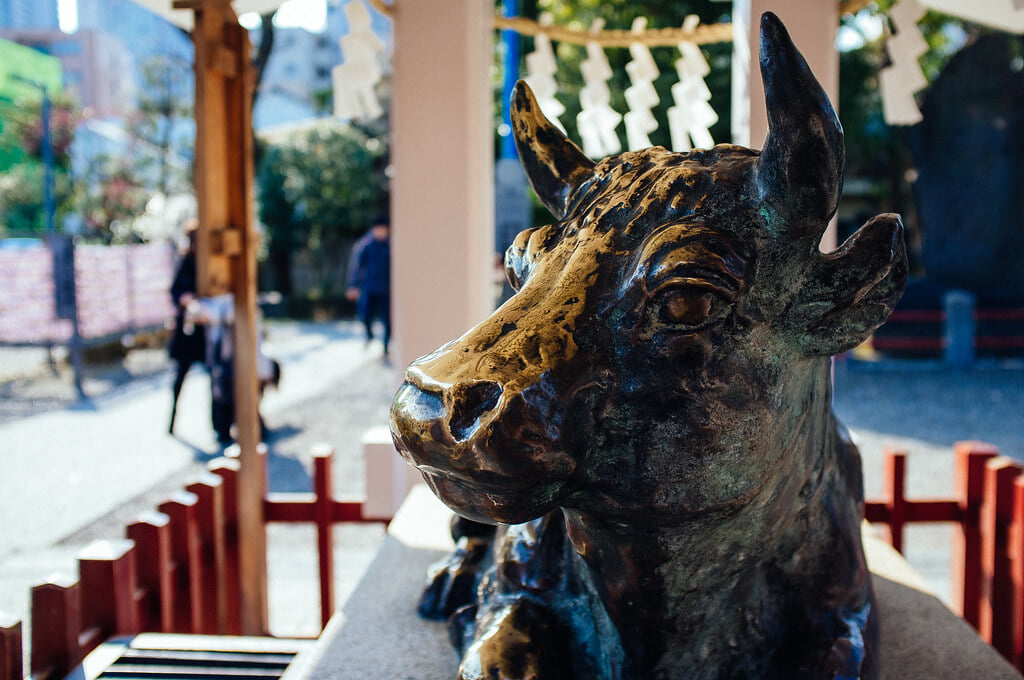 亀戸天神社の写真12