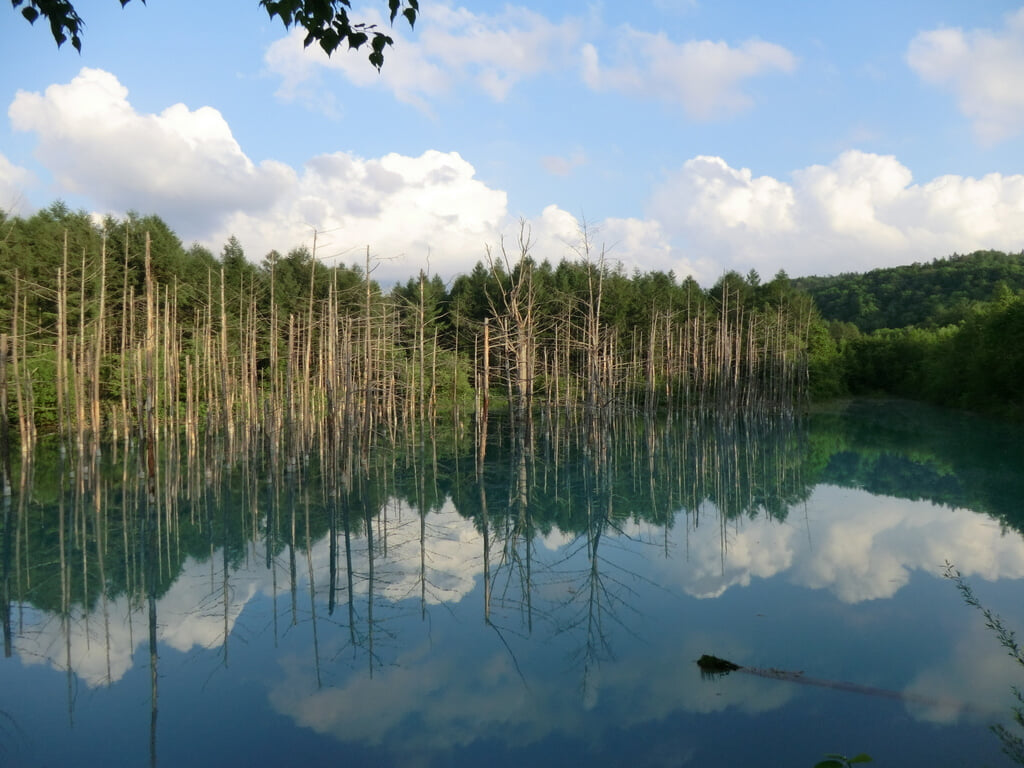 白金青い池の写真2