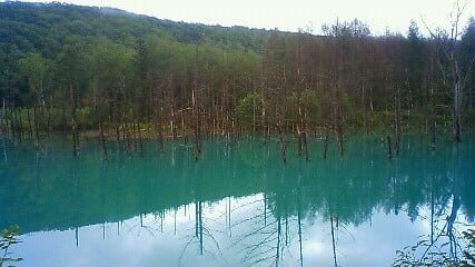 白金青い池の写真3