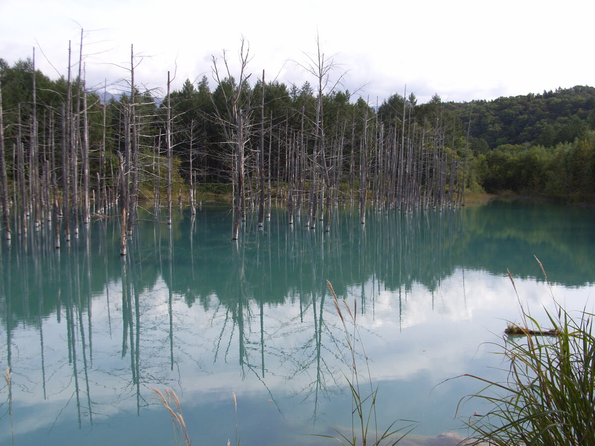 白金青い池の写真5