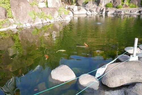 藍のあまくさ村の写真3