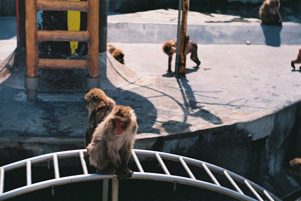 函館市熱帯植物園の写真2