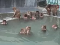 函館市熱帯植物園