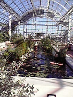 松阪農業公園ベルファームの写真3