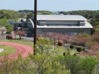 たつのこアリーナ　屋内プール・屋外プール