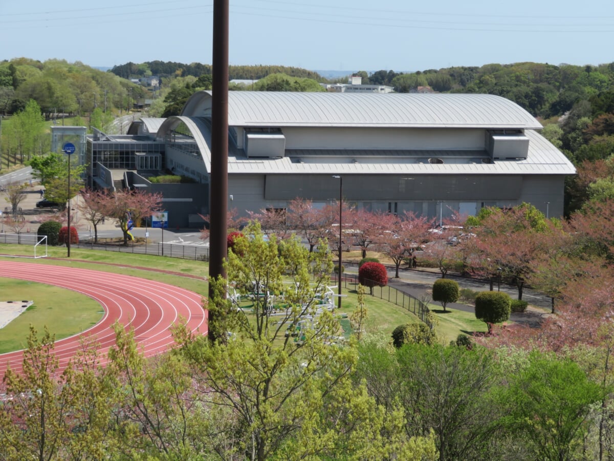 たつのこアリーナ　屋内プール・屋外プールの写真1