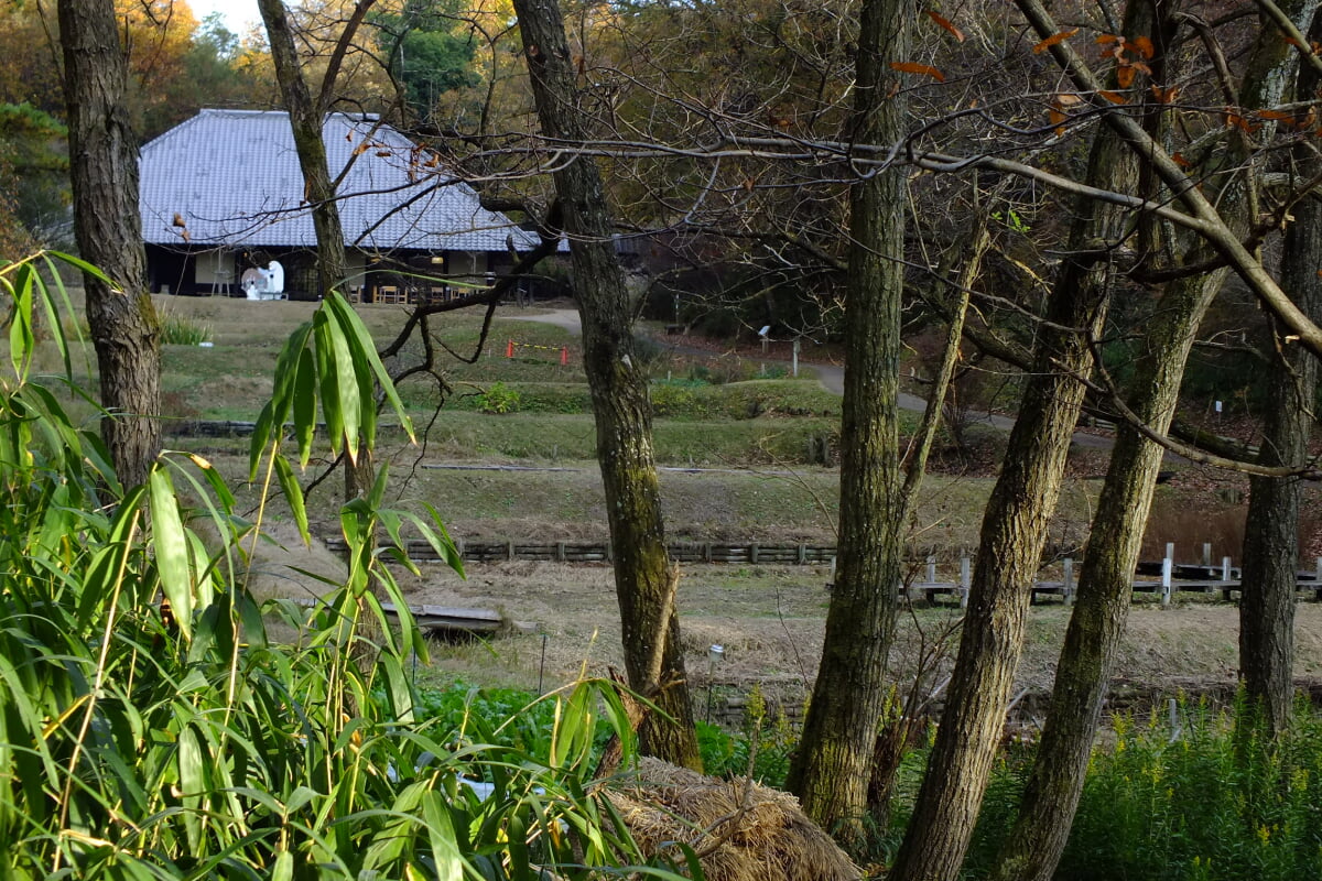 兵庫県立やしろの森公園の写真2