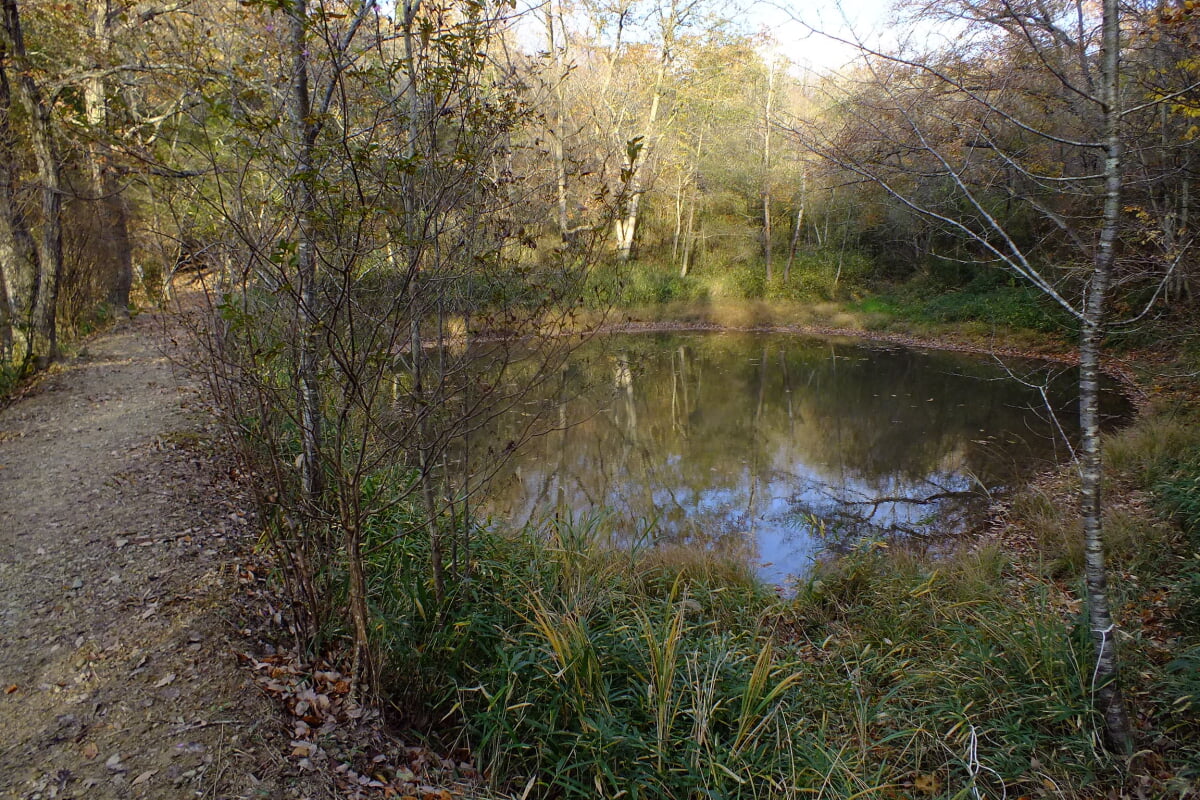 兵庫県立やしろの森公園の写真3
