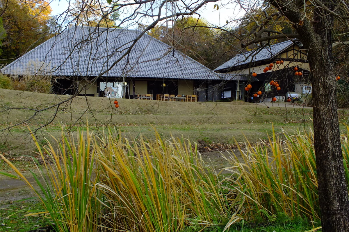 兵庫県立やしろの森公園の写真6