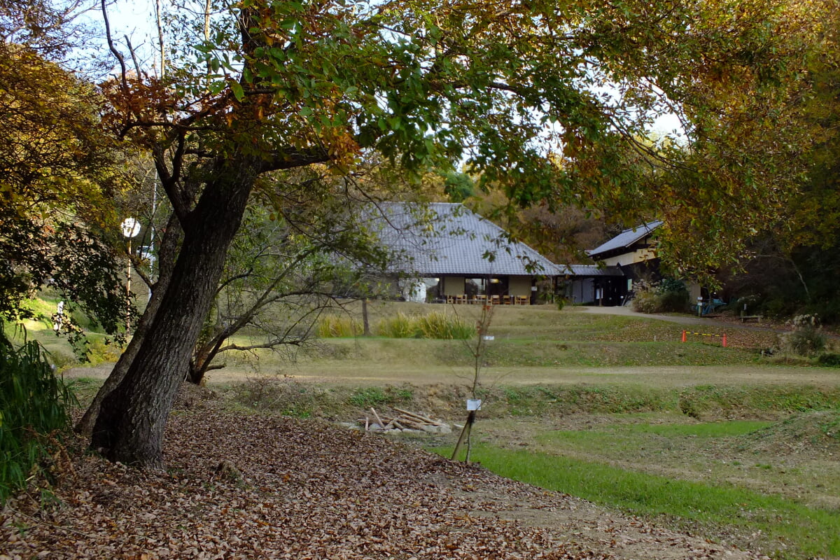 兵庫県立やしろの森公園の写真7