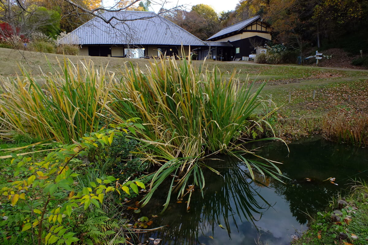 兵庫県立やしろの森公園の写真9