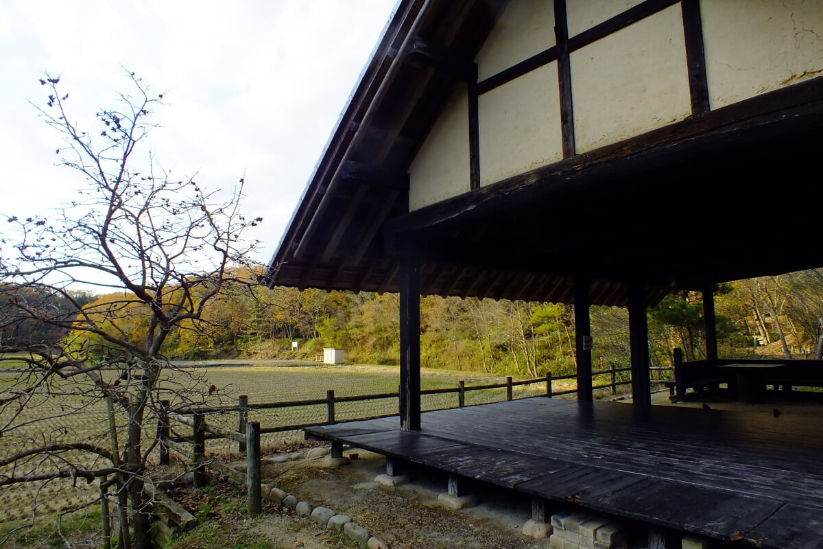 兵庫県立やしろの森公園の写真1