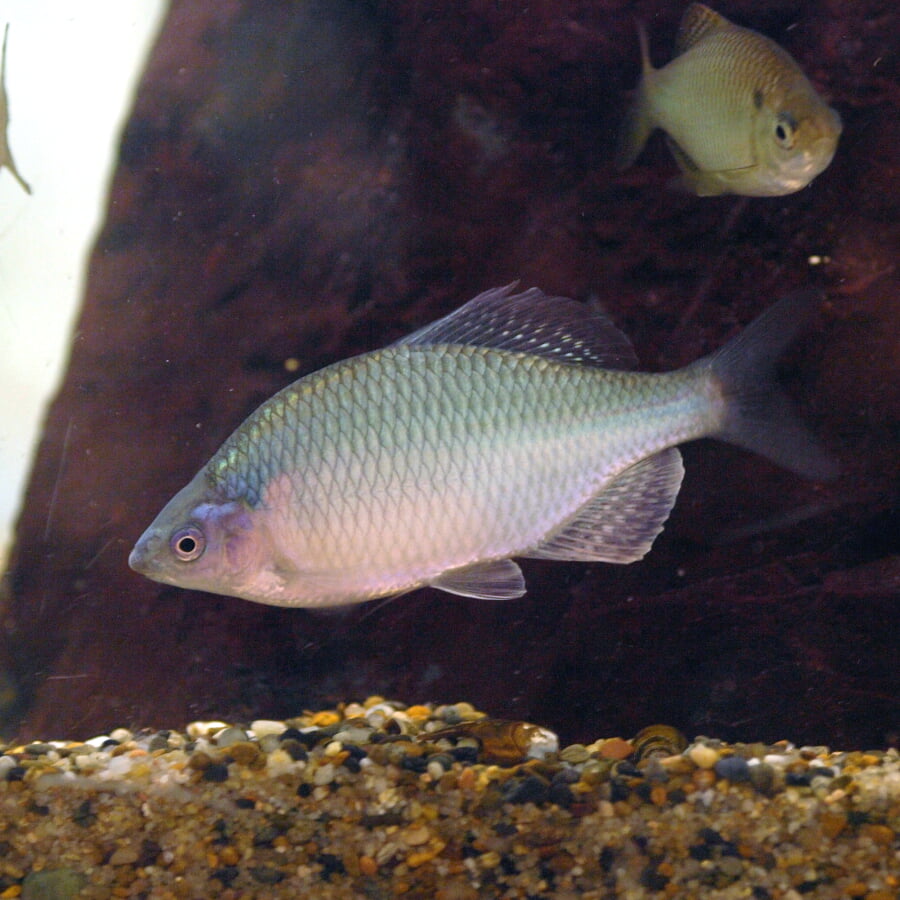 水道記念館の写真2