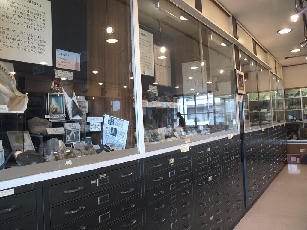 益富地学会館　石ふしぎ博物館の写真5