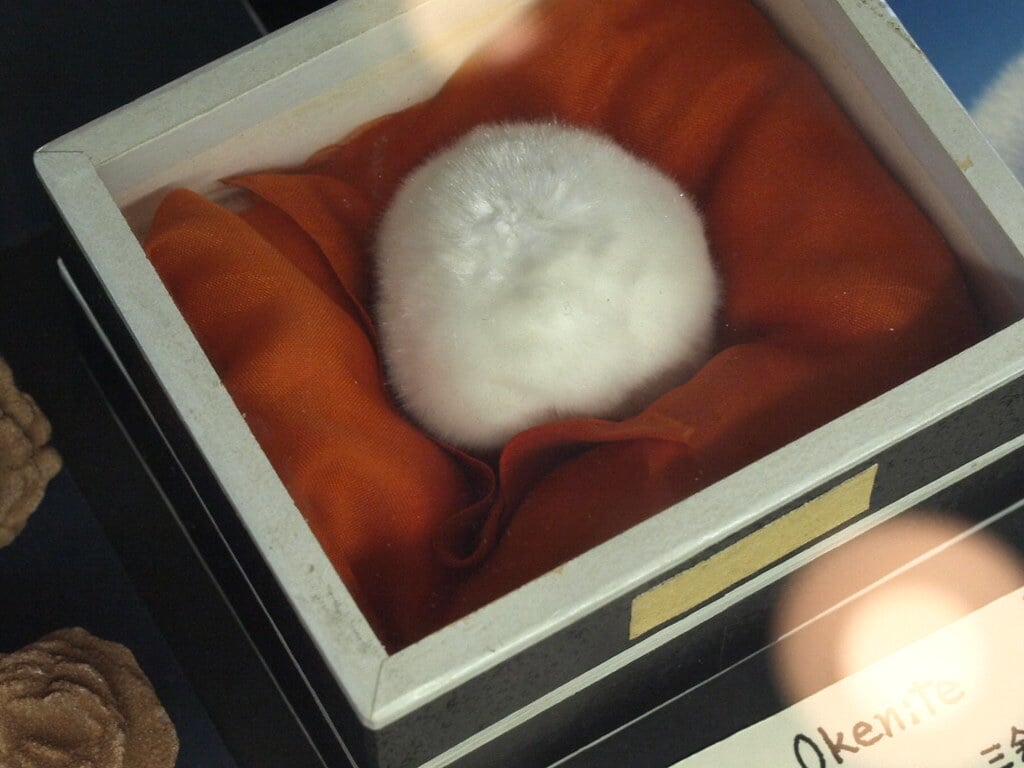 益富地学会館　石ふしぎ博物館の写真7