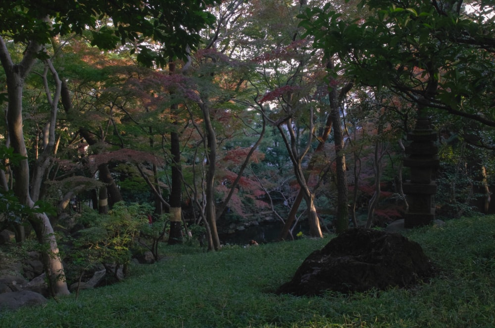 殿ヶ谷戸庭園の写真2