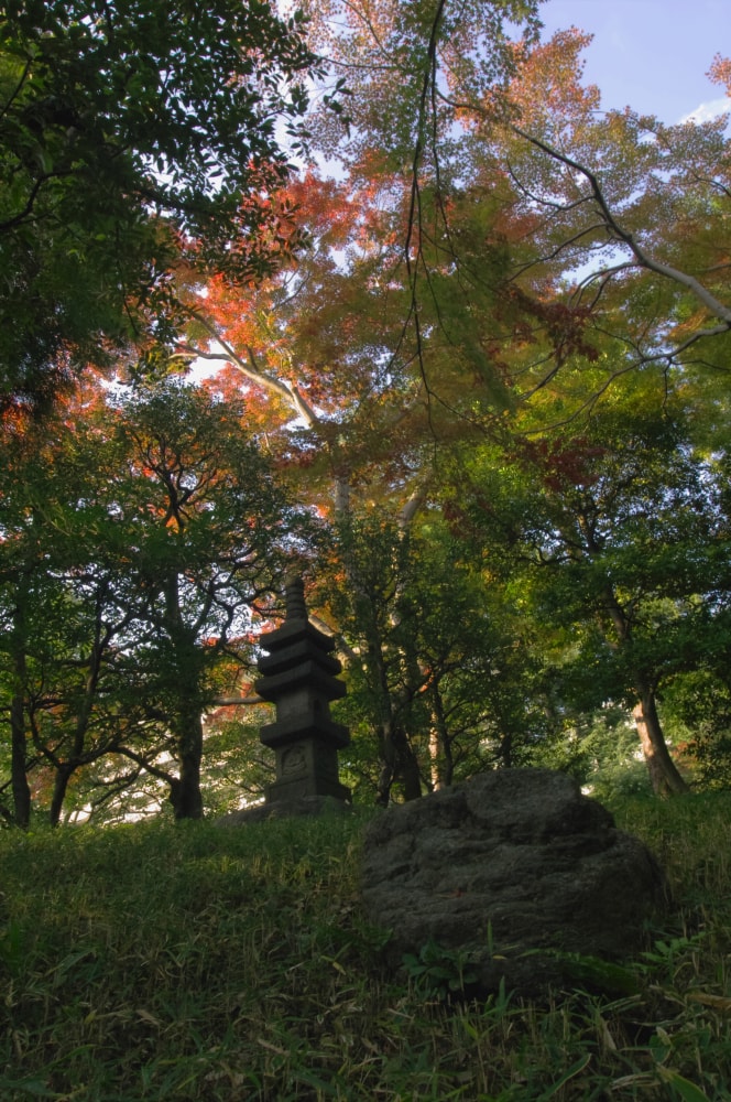 殿ヶ谷戸庭園の写真3