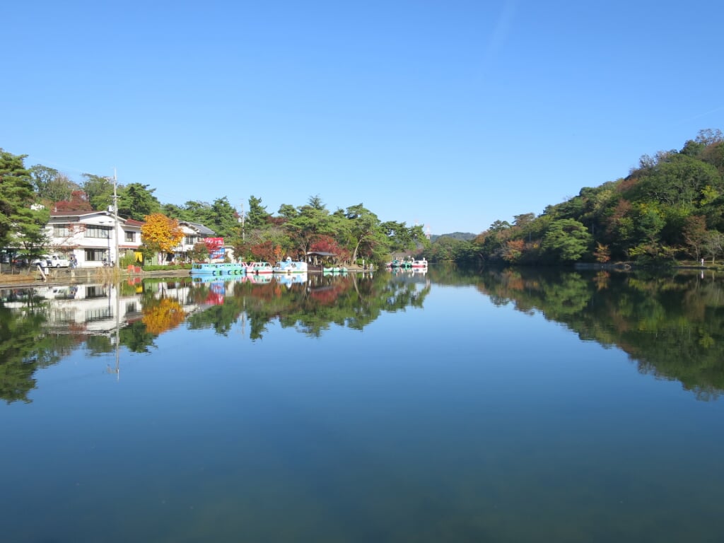 大阪府民の森 くろんど園地の写真1