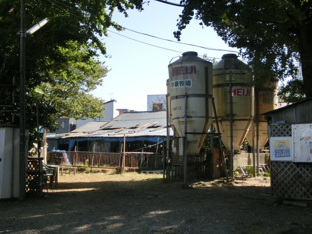 小泉牧場の写真1