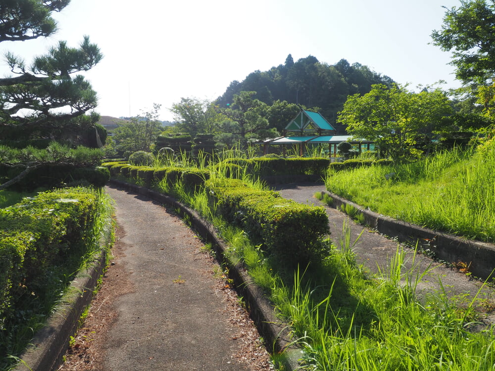 水口スポーツの森の写真2