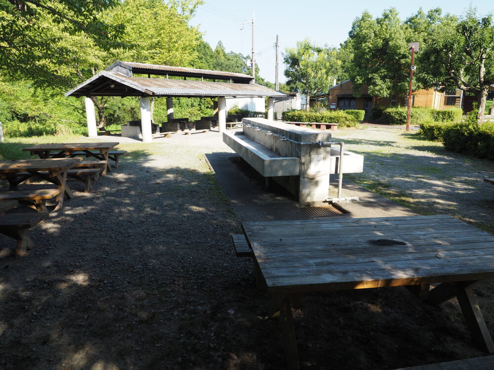 水口スポーツの森の写真6