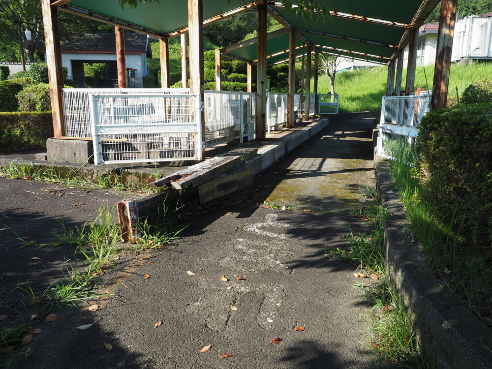 水口スポーツの森の写真8