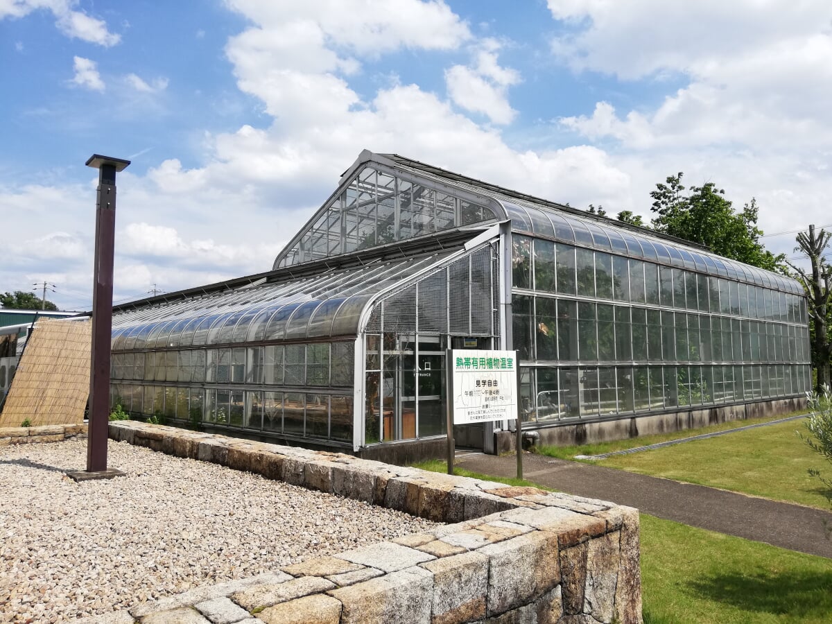 内藤記念くすり博物館の写真3