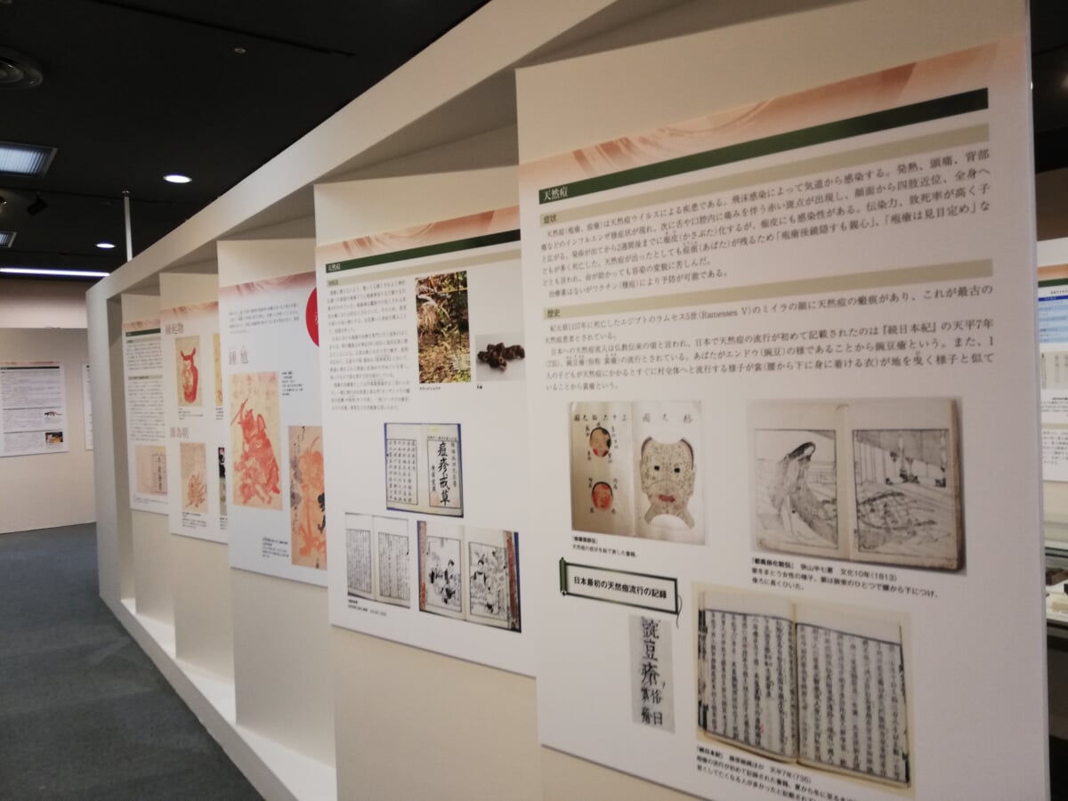 内藤記念くすり博物館の写真14