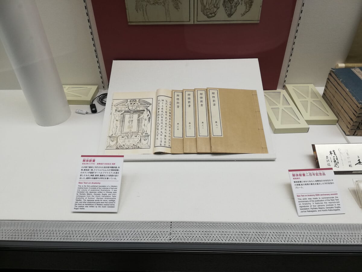 内藤記念くすり博物館の写真17