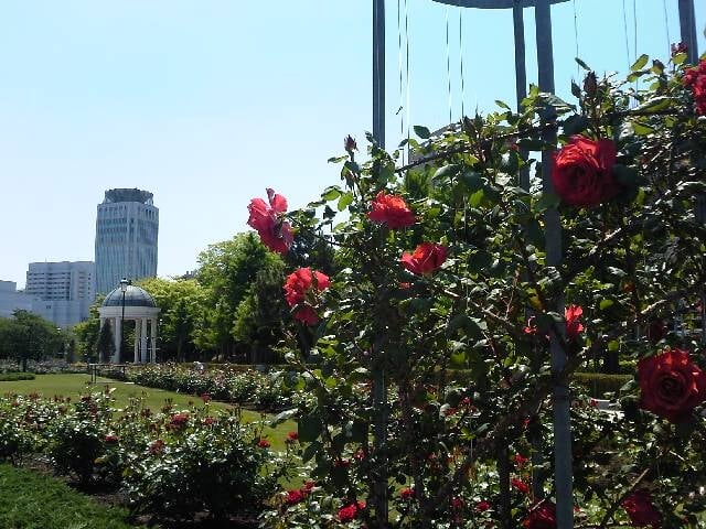 ヴェルニー公園の写真10