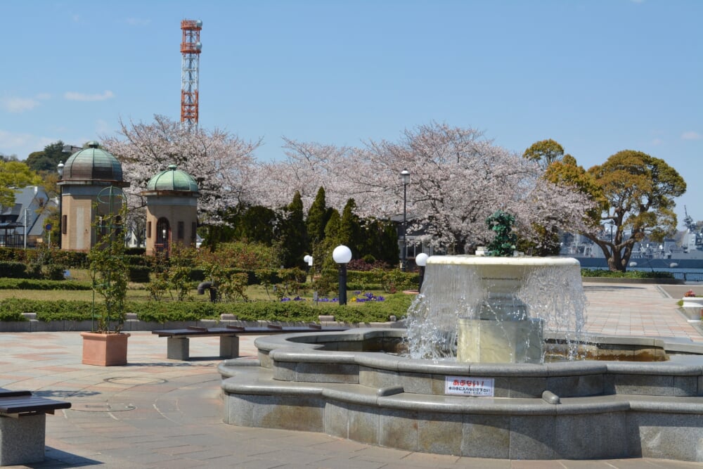 ヴェルニー公園の写真1