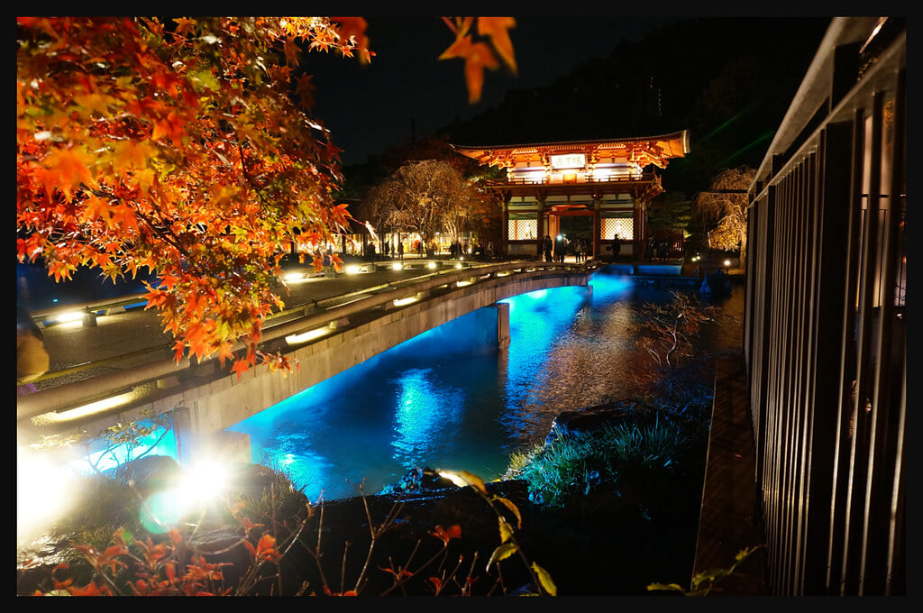 勝尾寺の写真11