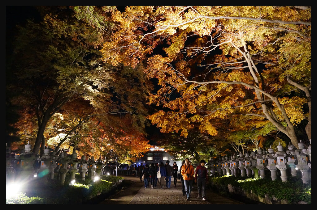 勝尾寺の写真14