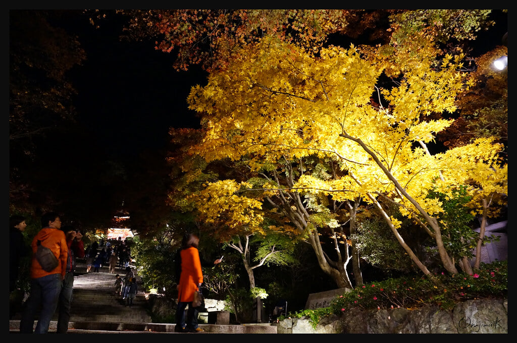 勝尾寺の写真15