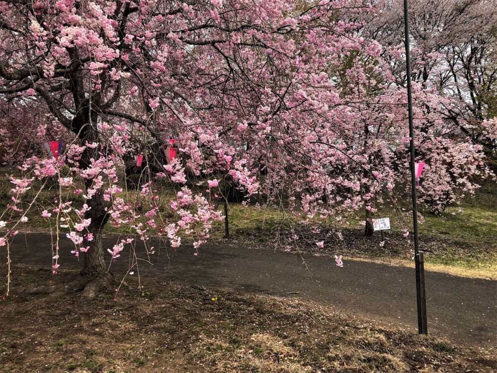 つがの里の写真2