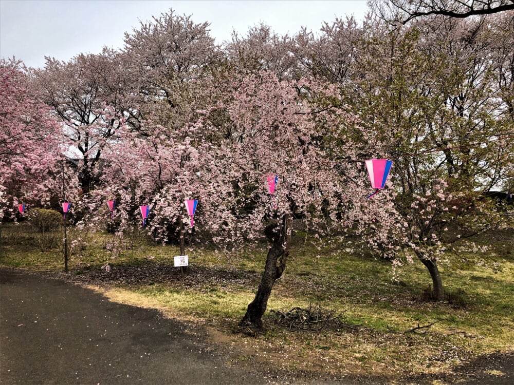 つがの里の写真1