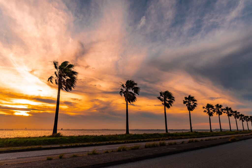 袖ケ浦海浜公園の写真3