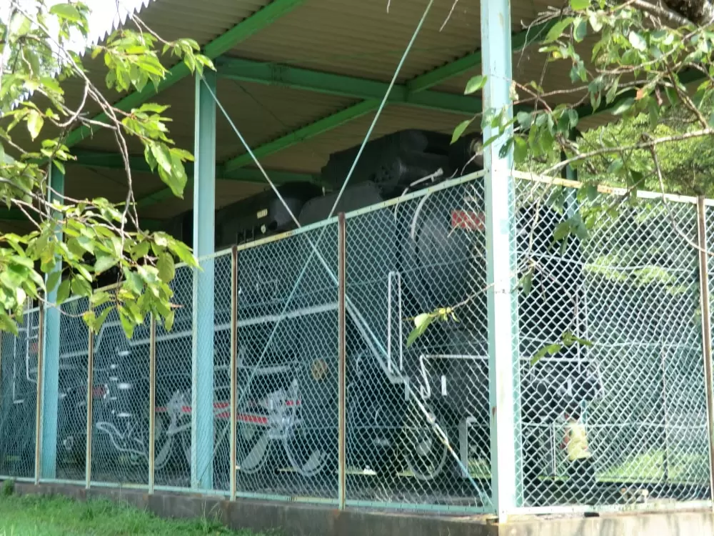 余野公園の写真1