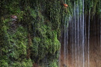 軽井沢・白糸の滝