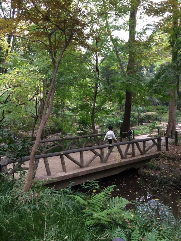 有栖川宮記念公園の写真4