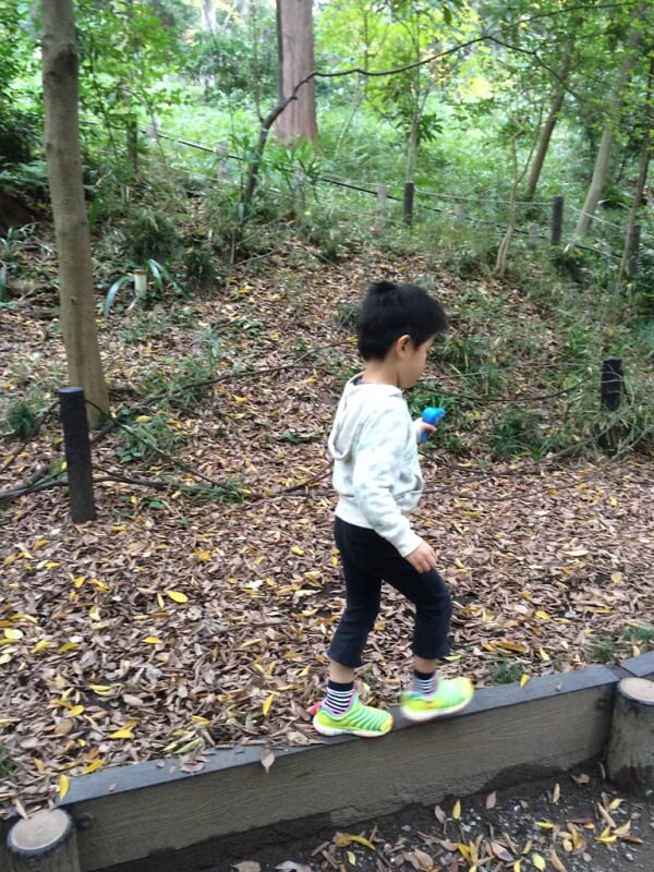 有栖川宮記念公園の写真7