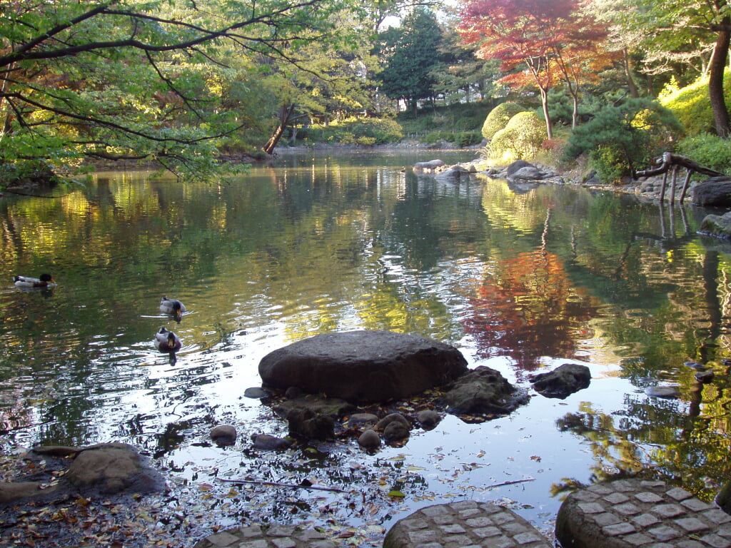 有栖川宮記念公園の写真11