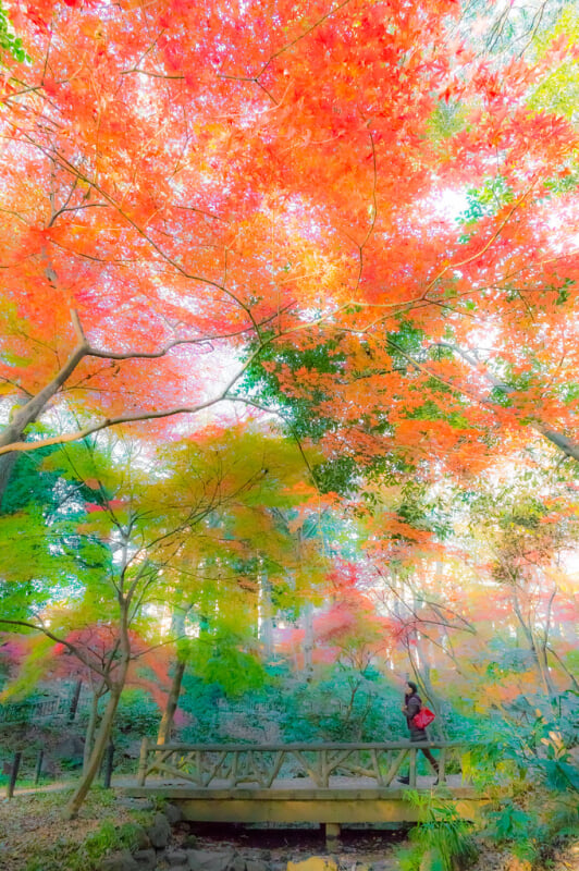 有栖川宮記念公園の写真13