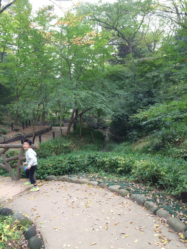 有栖川宮記念公園の写真18