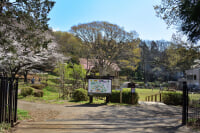 藤沢市少年の森