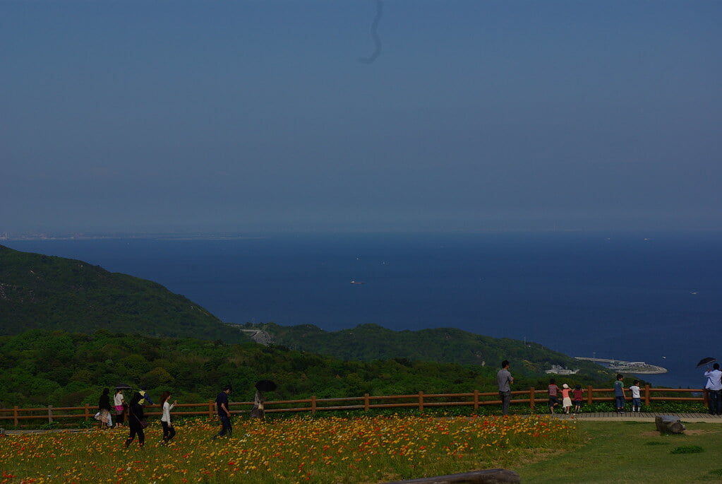 あわじ花さじきの写真10