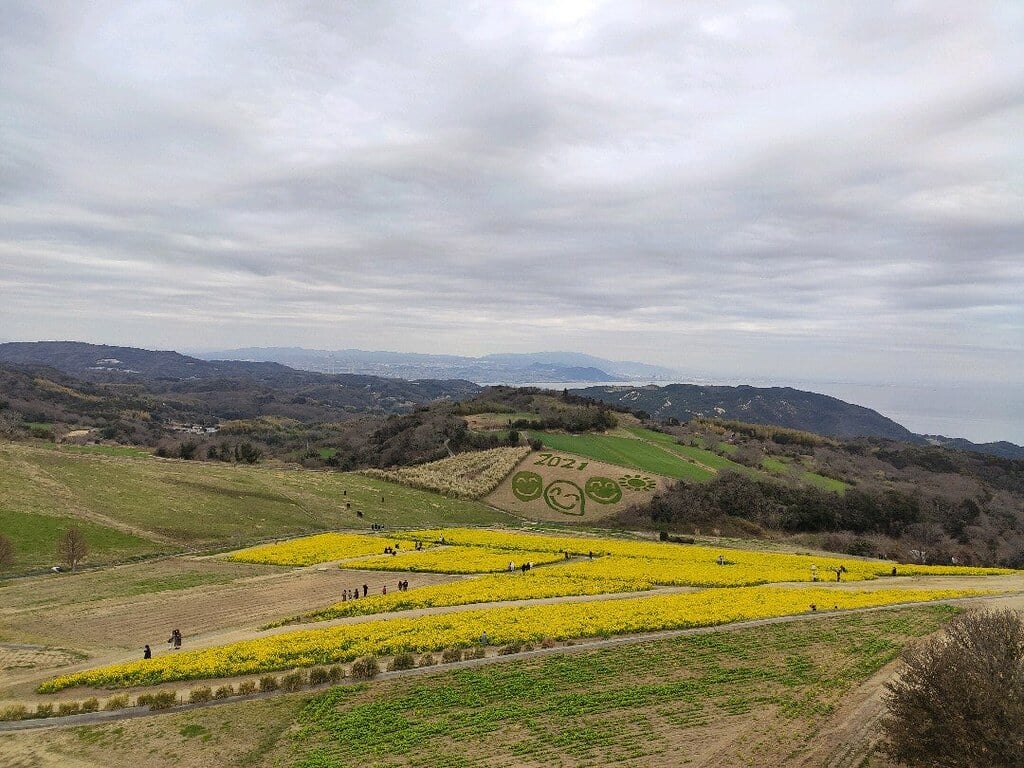 あわじ花さじきの写真11