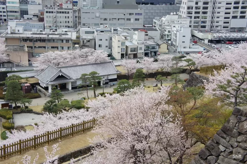舞鶴城公園の写真1