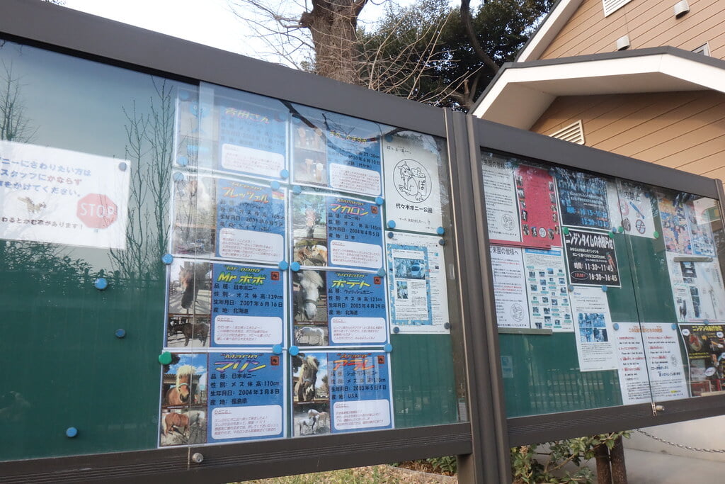 代々木ポニー公園の写真3