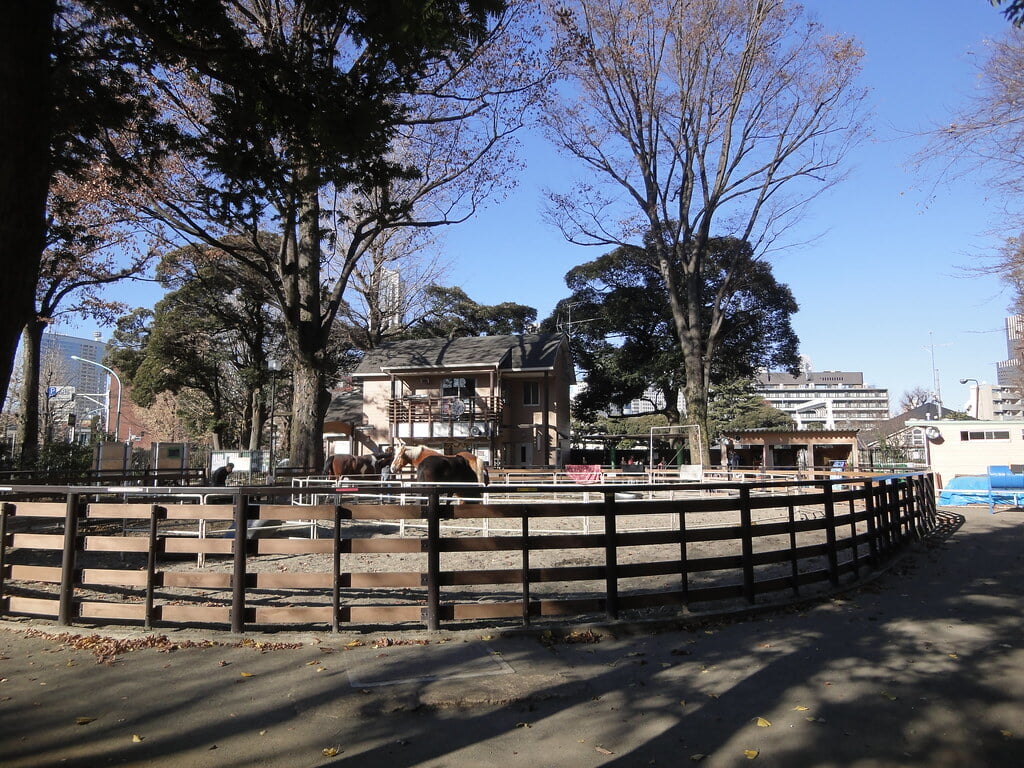 代々木ポニー公園の写真7